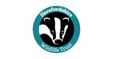 The logo of Herefordshire Wildlife Trust featuring a stylized badgers face in a circular design.